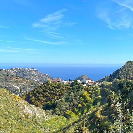Villa Francisca Málaga Buitenkant foto