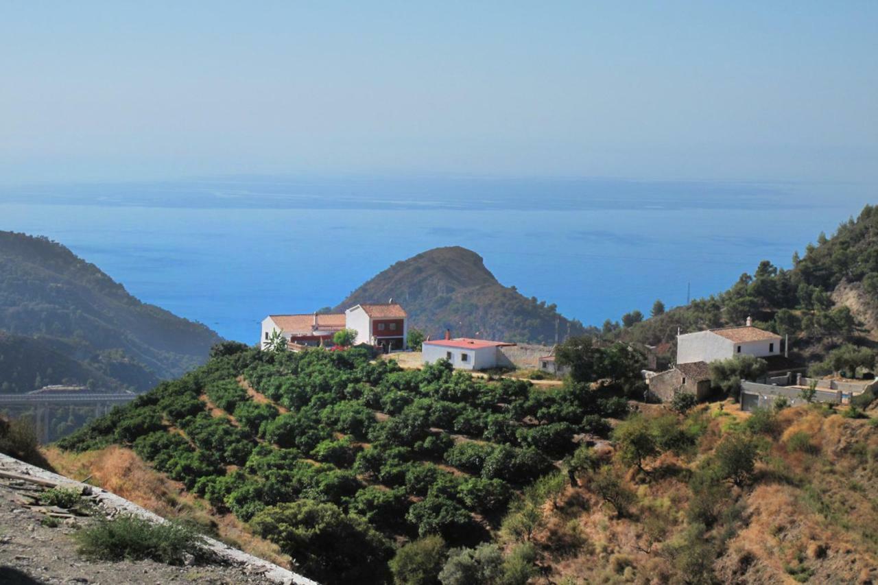 Villa Francisca Málaga Buitenkant foto